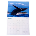 Hawaii 2026 calendar with whale scene