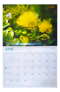 June 2026 calendar page featuring a bright yellow ʻōhiʻa lehua blossom surrounded by lush green foliage. Includes Hawaiian and English weekdays and holiday markers.

