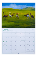 June 2026 calendar page featuring horses grazing on the rolling green hills of Kohala Road near Waimea. Includes Hawaiian and English weekdays, moon phases, and U.S. holidays.