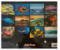Back cover of the 2026 Marine Tide calendar, showing a collage of 12 vibrant marine-themed images including tropical fish, turtles, sharks, crabs, and ocean waves.

