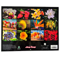 Collage of colorful flowers on a black background with Longa Drugs branding.