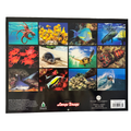 Collage of underwater scenes with various marine life on a black background, featuring Longe Drugs branding.