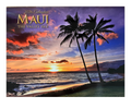 Islander Hawaii Hawaiian 2026 Twelve Month Calendar (Choose)