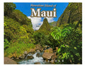 Calendario de doce meses Islander Hawaii Hawaiian 2024 (elegir) 