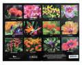 Calendario de doce meses Islander Hawaii Hawaiian 2024 (elegir) 