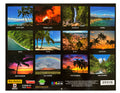 Calendario de doce meses Islander Hawaii Hawaiian 2024 (elegir) 