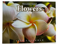 Calendario de doce meses Islander Hawaii Hawaiian 2024 (elegir) 