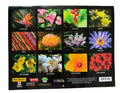 Calendario de doce meses Islander Hawaii Hawaiian 2024 (elegir) 