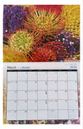 March 2026 calendar page from Hawaiian Island Flowers 2026 Calendar featuring close-up of vibrant Pin Cushion Proteas with purple accent flowers

