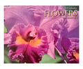 Islander Hawaii Hawaiian 2026 Twelve Month Calendar (Choose)