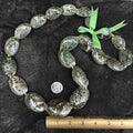 da Hawaiian Store Genuine Green Paua Abalone Shell Lei Necklace