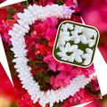A lei made of genuine bubble shells displayed around a red flower backdrop, with a close-up inset showing the detail of the shells.