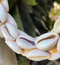 Necklace made of shell beads with a blurred natural background
