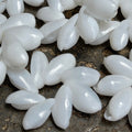 Close-up of white floral shaped shell rosettes on a textured surface