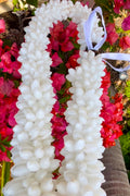 A lei made of genuine bubble shells displayed around a red flower backdrop.