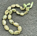 da Hawaiian Store Genuine Green Paua Abalone Shell Lei Necklace