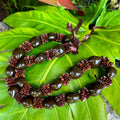 Brown kukui nut lei with koa seed rosettes displayed on a green tropical leaf, Hawaiian style adjustable graduation lei