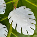 Hawaiian Store Mother of Pearl Adjustable Monstera Necklace and Earring Set