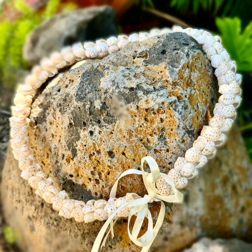 Hawaiian Store Moonshell Shell Lei – Handcrafted from Naticarius Onca (30")