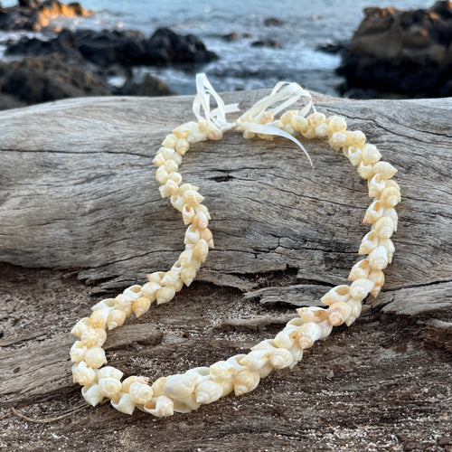 Shell lei on a piece of driftwood with a beach background