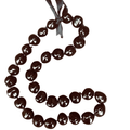 Hawaiian Store Kukui Nut Lei Necklace (Choose Color)