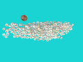 White puka shells scattered on a turquoise background