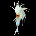 Hawaiian Warrior Ikaika Makaki'i Makini Mask Helmet