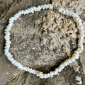 da Hawaiian Store Natural Puka Shell Necklace (choose)