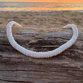 White shell necklace on a wooden log with a beach and sunset in the background