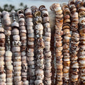 Cone Shell Choker Necklace