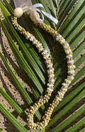 Hawaiian Store Mongo Shell Lei Necklace (Choose Color & Length)