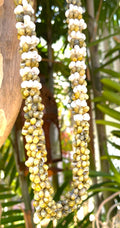 Hawaiian Store Mongo Shell Lei Necklace (Choose Color & Length)
