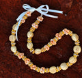 da Hawaiian Store Lei Necklace of Kukui Nuts and Mongo Shell (Choose Variety)