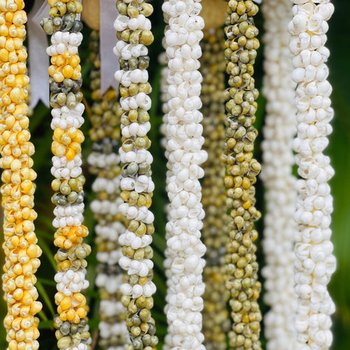 Mongo Shell Lei in yellow, white, green, green and white and yellow and white