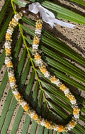 Hawaiian Store Mongo Shell Lei Necklace (Choose Color & Length)